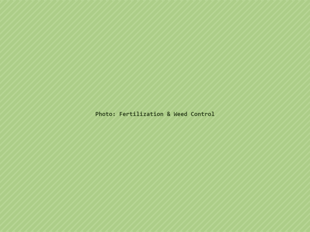 Fertilization & Weed Control
