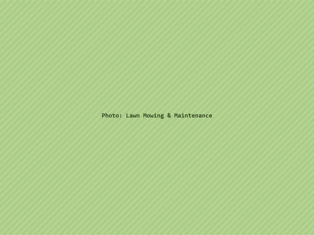 Lawn Mowing & Maintenance