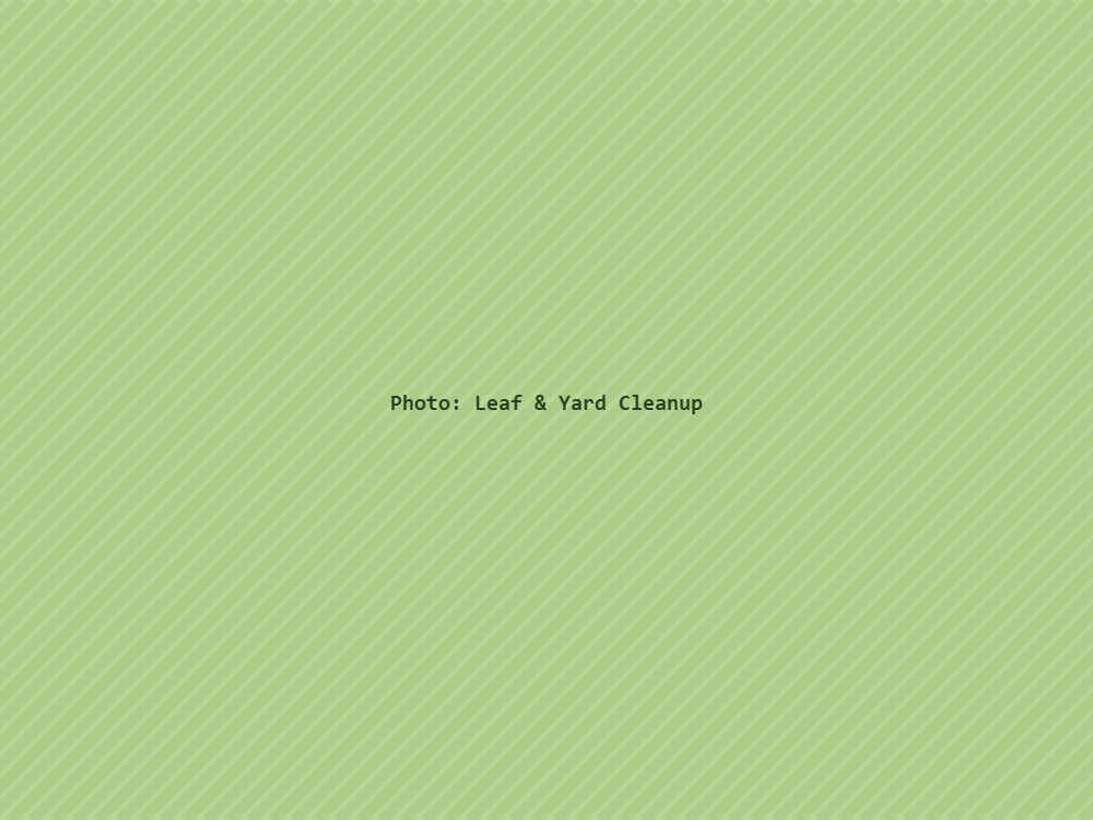 Leaf & Yard Cleanup